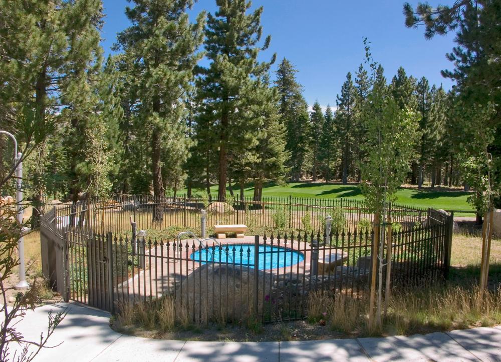 13 * Old Mammoth