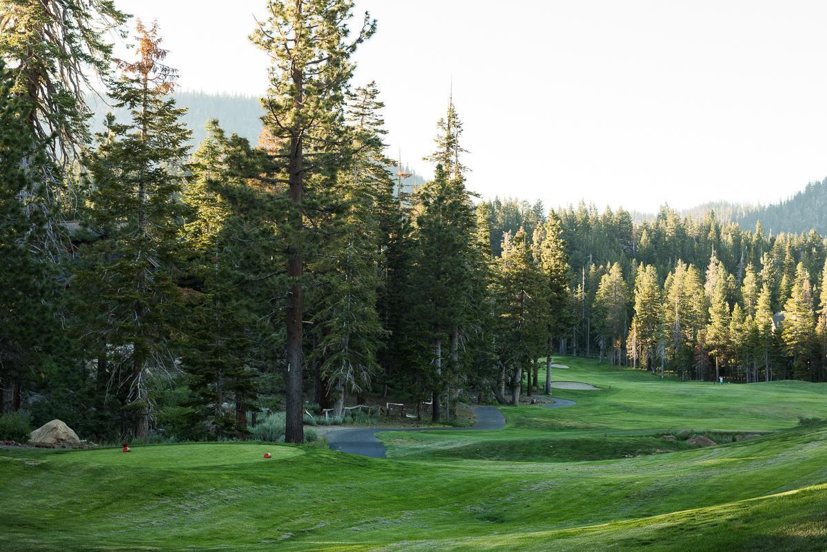 13 * Old Mammoth